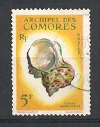 COMORES   1962 Seashells    USED YVERT 22  -Turbo Marmoratus - Usati