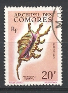 COMORES   1962 Seashells    USED YVERT 23 -Lambis Scorpio - Used Stamps
