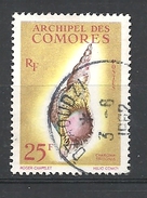 COMORES   1962 Seashells    USED YVERT 24 - Charonia Tritonis - Oblitérés