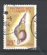 COMORES   1962 Seashells    USED YVERT 24 - Charonia Tritonis - Gebruikt