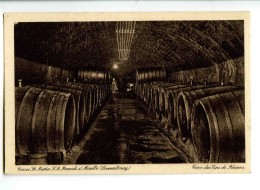 C 18626  -  Remich  -  Caves St. Martin  -  Cave Des Vins De Réserve - Remich