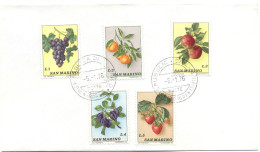 SAN MARINO - 1973 - Serietta - Frutta - Busta Non Viaggiata - Lettres & Documents