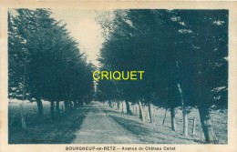 44 Bourgneuf En Retz, Avenue Du Chateau Collet, Carte Pas Courante Affranchie 1934 - Bourgneuf-en-Retz