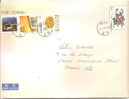 Entier Postal Sur Belle Enveloppe Timbrée Thème Rose, Muraille, Fleurs, Personnage Célèbres, Football - Briefe