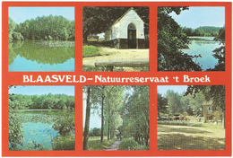 Blaasveld - Natuurreservaat 't Broek - Willebrök