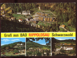 CPM Allemagne Gruss Aus BAD RIPPOLDSAU Schwarzwald Multi Vues - Bad Rippoldsau - Schapbach