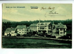 C 18639   -   Herrenwies  -  Gruss Aus Dem Schwarzwald - Forbach
