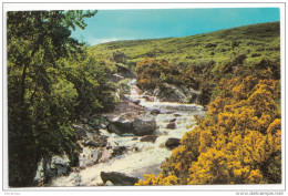 Scozia - Melness. Vista Panoramica Da Tongue Bay. General View. - Sutherland