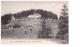 Suisse Kur Und Sports Hotel Hoh Rhonen Goffschalkenberg Hotel Restaurant Carte Non Voyagée - Otros & Sin Clasificación