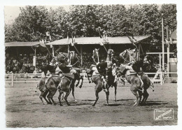 Maine Et Loire - 49 - Saumur école Cavalerie Courbettes  Ed Photo Perrusson 1965 - Saumur