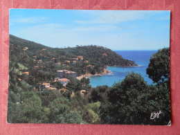 Dep 83 , Cpm  Le RAYOL CANADEL , Vue Panoramique , S.58 (83C.199) - Rayol-Canadel-sur-Mer