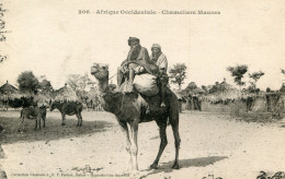 MAURITANIE(TYPE) - Mauritanie