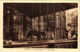 SAIGON JARDIN BOTANIQUE ,CAGE AU TIGRE REF 49536 - Tigres