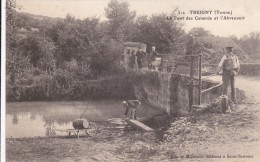 CARTE POSTALE    TREIGNY 89  Le Pont Des Canards Et L'Abreuvoir - Treigny