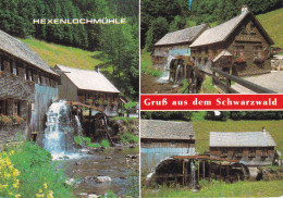 Alemania--1990--Grub Aus Dem Schwarzwald--Hexenlochmühle - Todtmoos