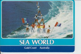 Sea World - Gold Coast