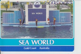 Sea World - Gold Coast