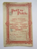 Port Of Para - Transporte