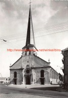 Sint-Pieterskerk Hamme - Hamme