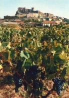 VAR 83 LA GARDE VUE GENERALE AVEC LES VIGNES ANNEE 60 - La Garde