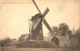 Esschen  /  Essen : De Molen  1923 - Essen