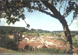 SAINT QUIRIN 57 - Vue Générale - 10225 - W-20 - Sarralbe