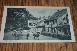 19-Bad Harzburg, Molkenhaus - Bad Harzburg