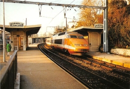 BOUCHES DU RHONE  13   MARSEILLE  BLANCARDE  GARE  TRAIN  TGV - Cinq Avenues, Chave, Blancarde, Chutes Lavies