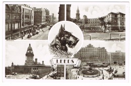 RB 1125 - 1952 Scottie Dog Postcard - Multiview Of Leeds - Yorkshire - Leeds