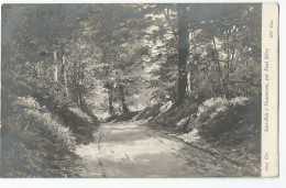 Hauts De Seine - 92 - Sous Bois A Vaucresson Par Paul Méry 1908 - Vaucresson