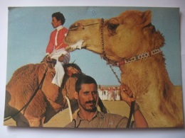 DC09 Postcard Saudi Arabia - After A Camel Race - Arabia Saudita