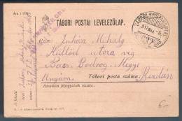 Hungria, 1917, Tabori Postahivatal - Storia Postale