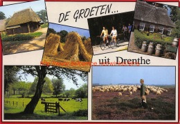 Groeten Uit Drenthe - Autres & Non Classés