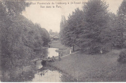 Sint Truiden Saint Trond -  Exposition Provinciale Du Limbourg (1907) - Vue Dans Le Parc (animation, Star, 1907) - Sint-Truiden