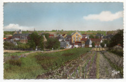 BOULOIRE-Vue Partielle Et L´Hospice St Julien ,cpsm 14 X 9 N°1 éd  Dolbeau - Bouloire