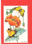 PAPILLON Cpa Pavot Souffré Illustrée Par Calvet Rogniat - Papillons