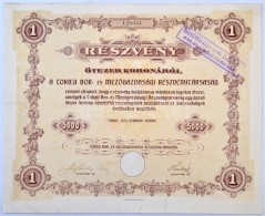 Tokaj 1924. 'A Tokaji- Bor- és MezÅ‘gazdasági Részvénytársaság'... - Sin Clasificación