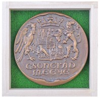 Tóth Sándor (1933-) DN 'Csongrád Megye' Br Plakett GyÅ±jtÅ‘i Tokban (744g/124mm) T:1
/ Hungary... - Unclassified