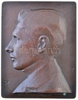 Szentgyörgyi István (1881-1939) DN Férfi Portré Br Plakett (241g/88x112mm) T:1- / Hungary... - Unclassified