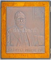 Dr. HÅ‘gyes Ferenc (1860-1923) 1914. 'Szinyei Merse Pál' Kétoldalas Br Plakett, Eredeti... - Sin Clasificación