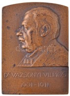 Csillag István (1881-1968) 1911. 'Dr. Vázsonyi Vilmos 1901-1911' Egyoldalas Br Plakett... - Sin Clasificación