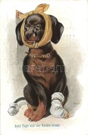 T2 'Acht Tage War Der Dackel Krank' / Dachshund Dog, Artist Signed - Sin Clasificación