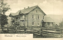 ** T2 Mykulychyn, Mikuliczyn; Willa Ks. Halajczuka / Villa - Unclassified