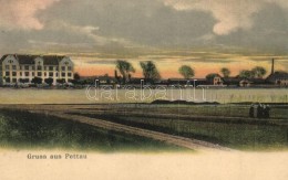 T2 Ptuj, Pettau; Panorama View With River - Sin Clasificación