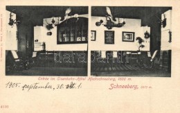 * T1/T2 Schneeberg, Entrée Im Eisenbahn-Hotel Hochschneeberg / Railway Hotel Interior. C. Ledermann Jr. - Non Classés
