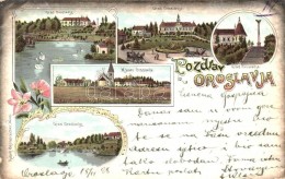 T2/T3 1898 Oroslavje, Oroslavja; Grad Oroslavje, Art Nouveau, Floral, Litho (worn Edges) - Sin Clasificación