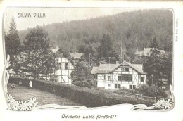 T2 LublófürdÅ‘, Kúpele Lubovna; Silvia Villa, Sima Antal Kiadása / Villa Art Nouveau - Sin Clasificación