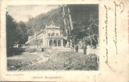 T2/T3 1899 Menyháza, Moneasa; Meleg GyógyfürdÅ‘, Divald Károly / Spa (EK) - Sin Clasificación