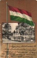 T2/T3 Kolozsvár, Cluj; Sétatéri Tó, Magyar Zászlós Litho Lap. Fuhrmann M.... - Sin Clasificación