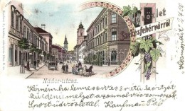 T2/T3 1899 Székesfehérvár, Nádor Utca, Kávéház, SzÅ‘lÅ‘, Kaufman... - Sin Clasificación